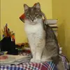 Отзыв от Инесса Кочеткова
